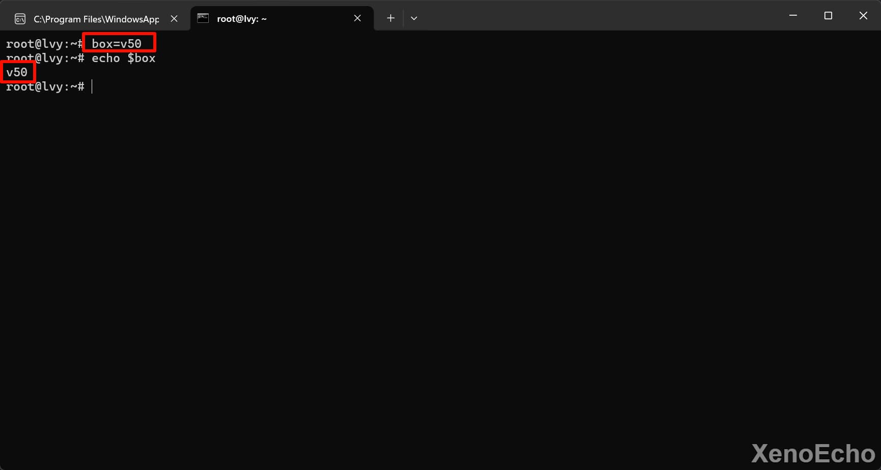 Pasted-image-20241127010759