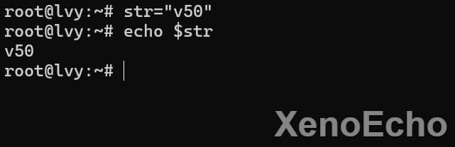 Pasted-image-20241128020433