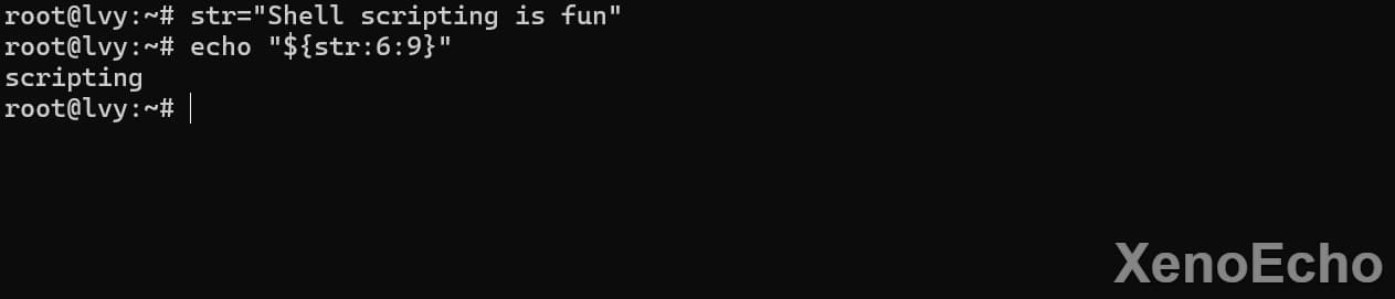 Pasted-image-20241128021516