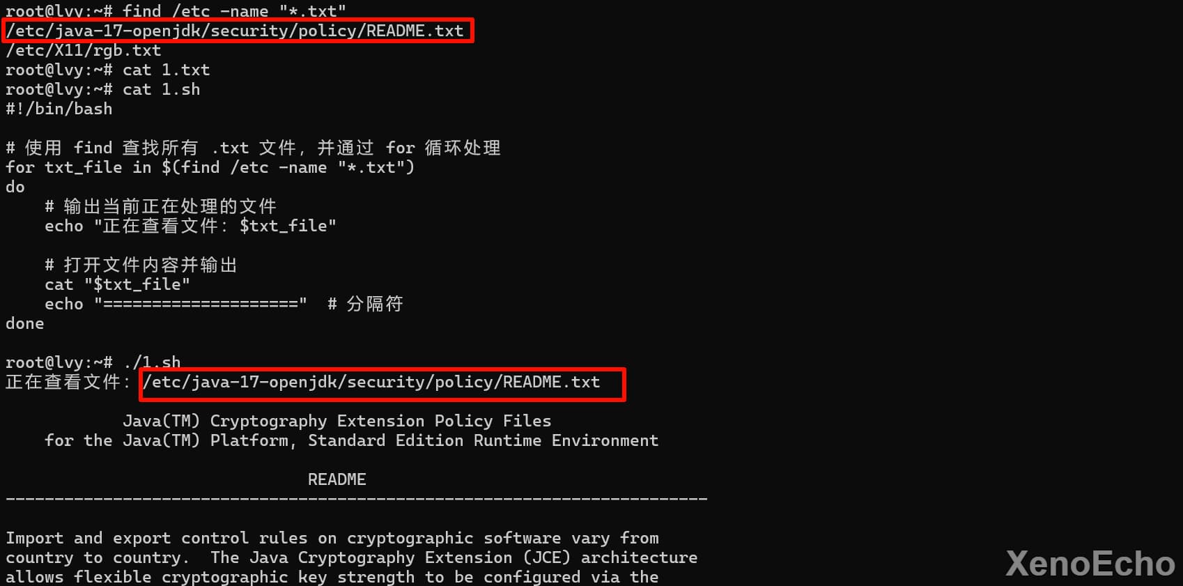 Pasted-image-20241129014738