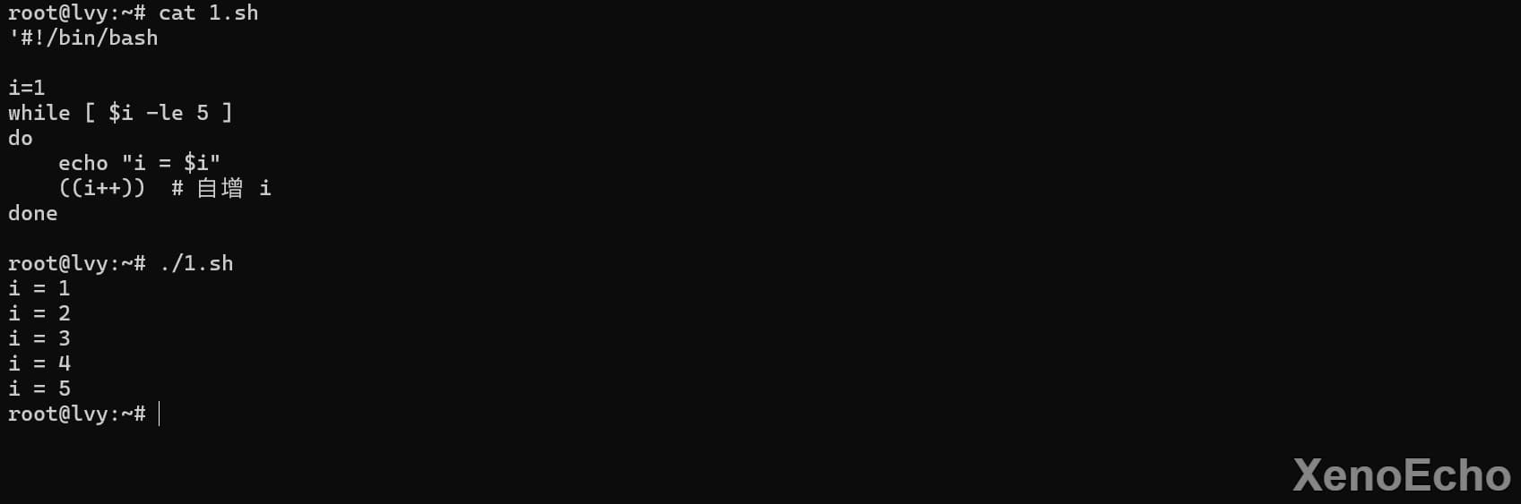 Pasted-image-20241129021119