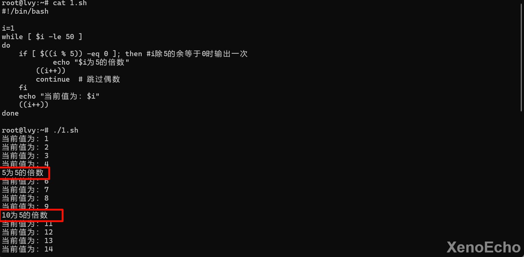 Pasted-image-20241129023734