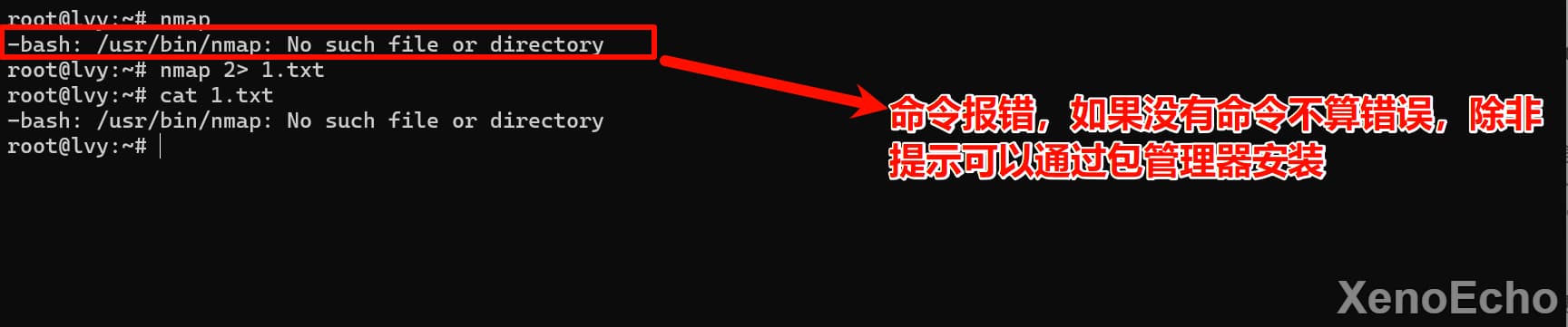 Pasted-image-20241129045350