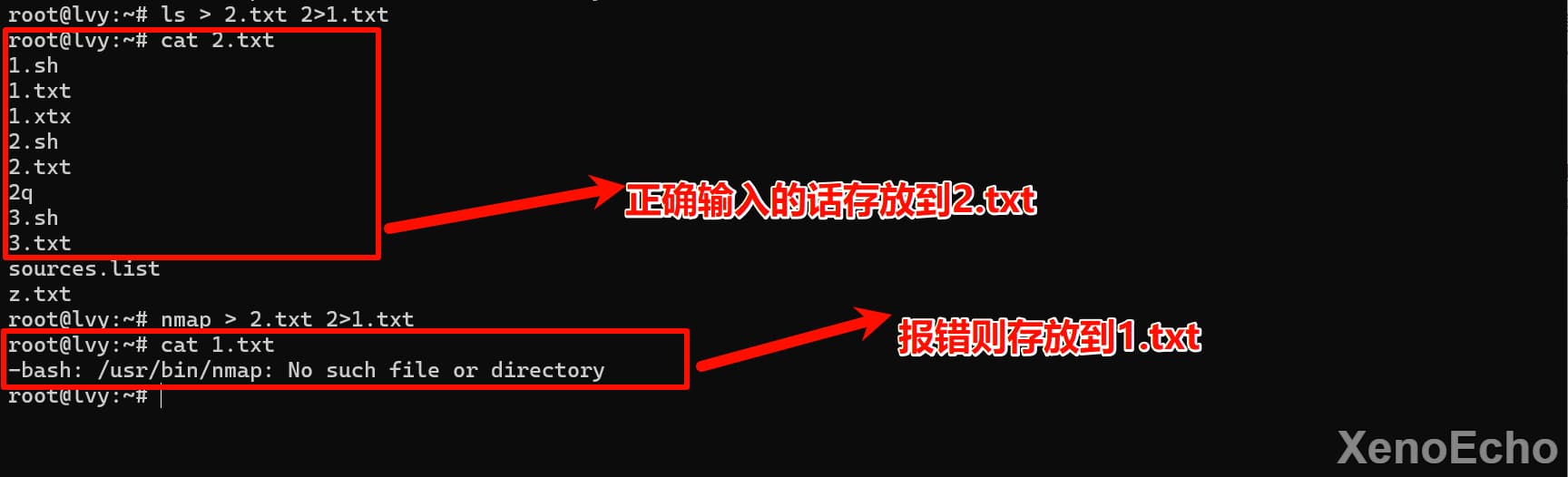 Pasted-image-20241129045702