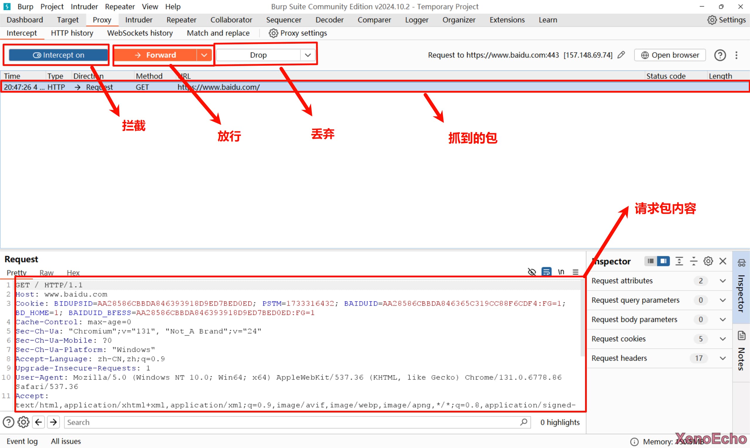 Pasted-image-20241204205023