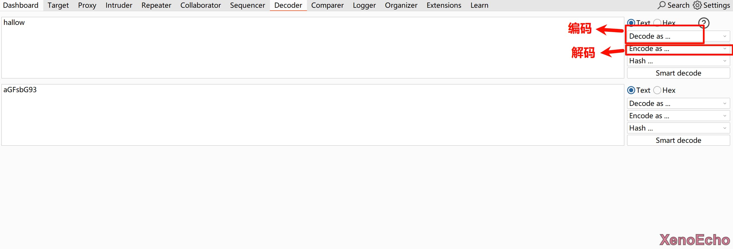 Pasted-image-20241204210613