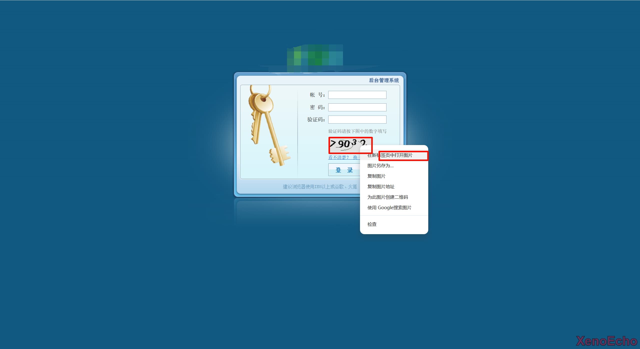 Pasted-image-20241210004546