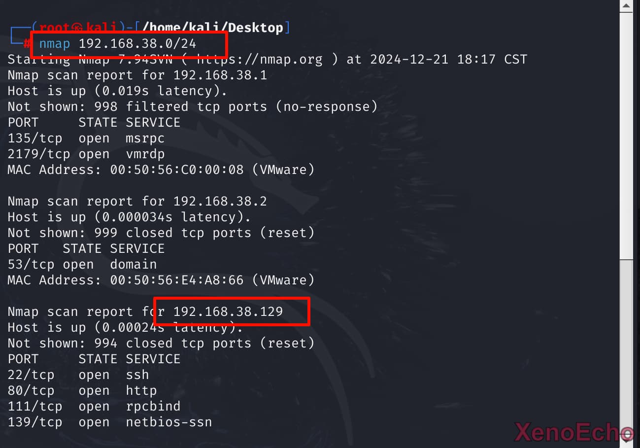 Pasted-image-20241221181758