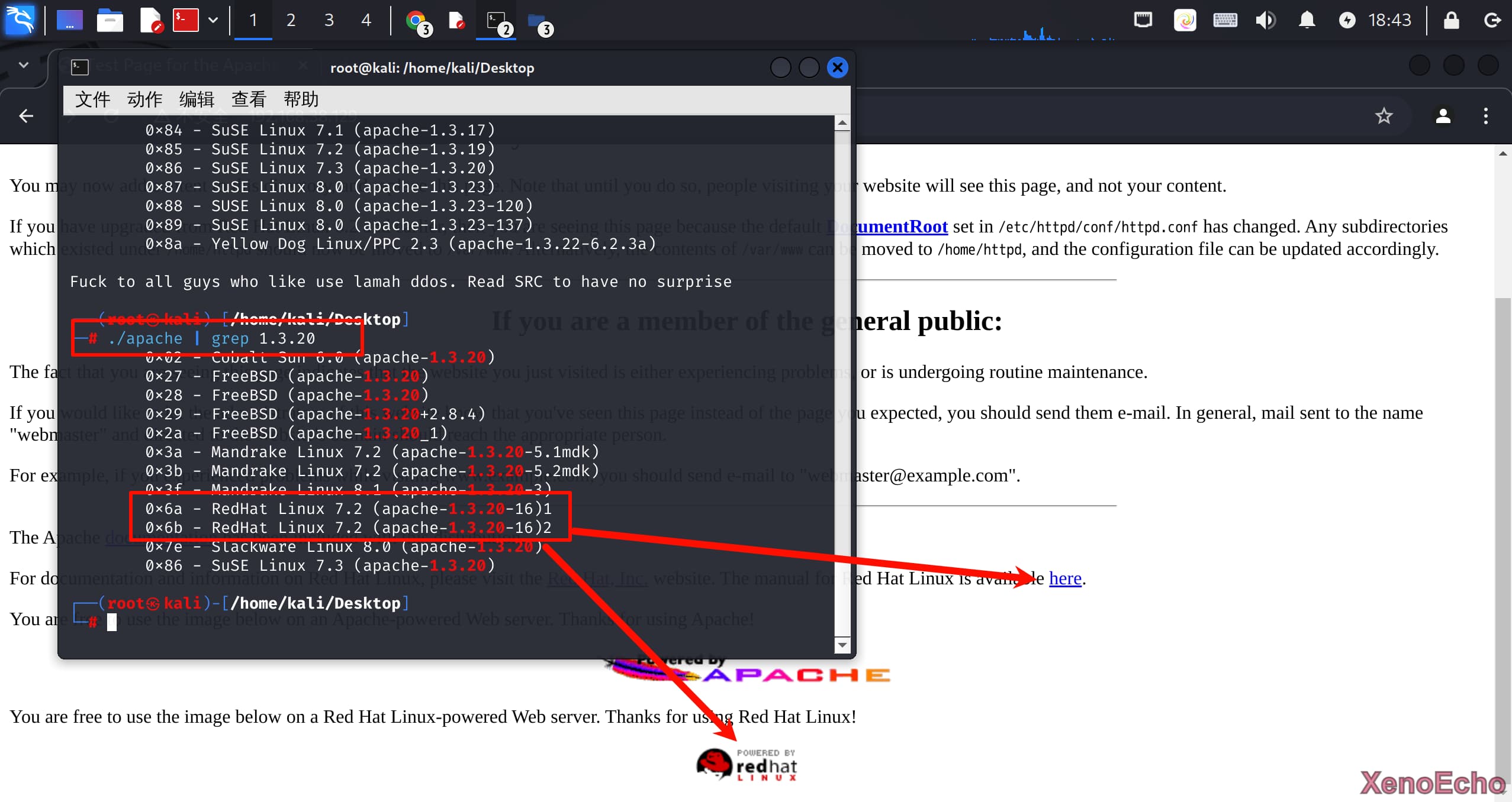 Pasted-image-20241221184442