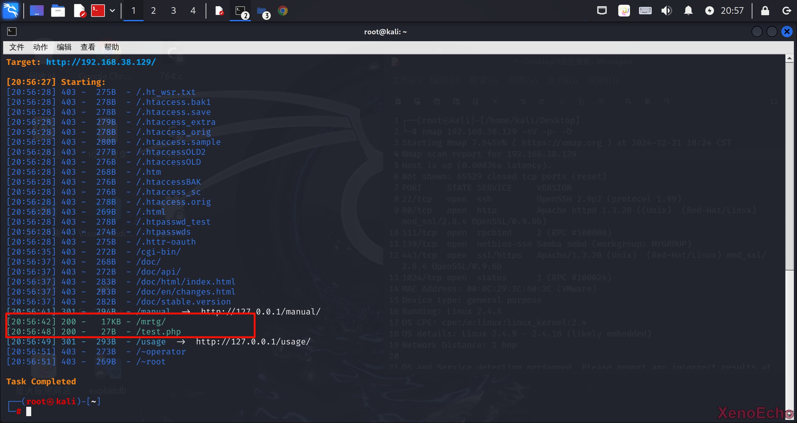 Pasted-image-20241221205739