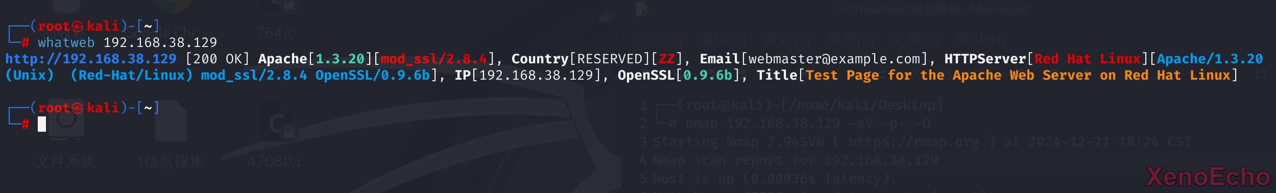 Pasted-image-20241221210035