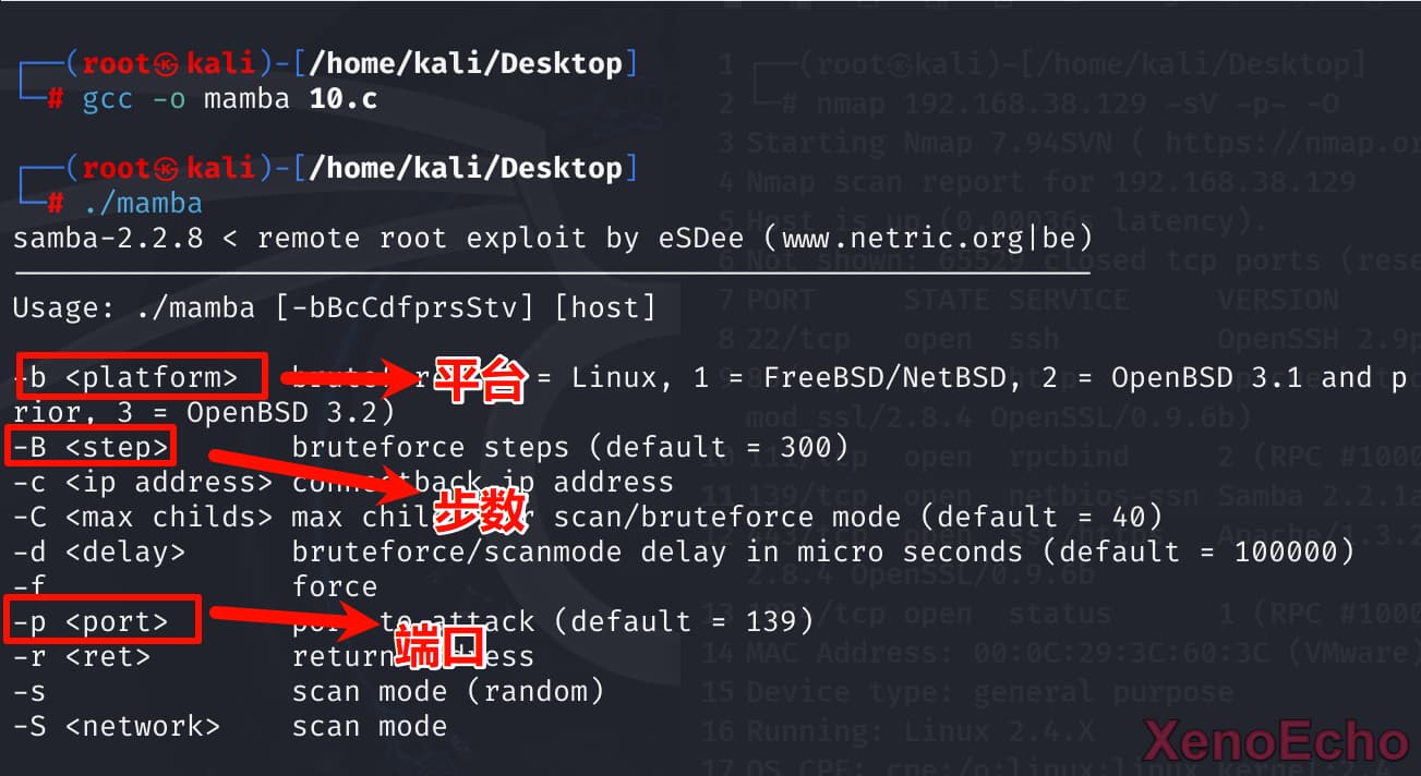 Pasted-image-20241221230917