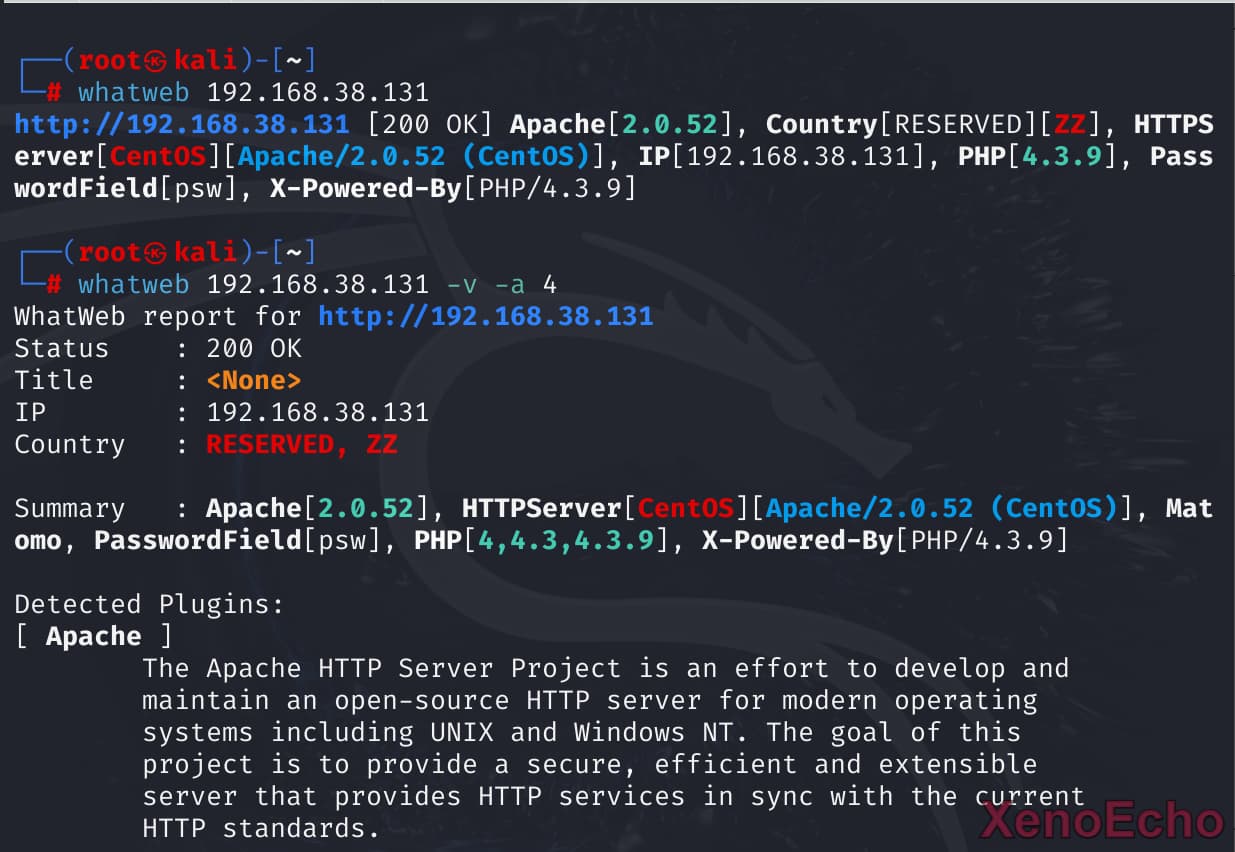 Pasted-image-20241222151042