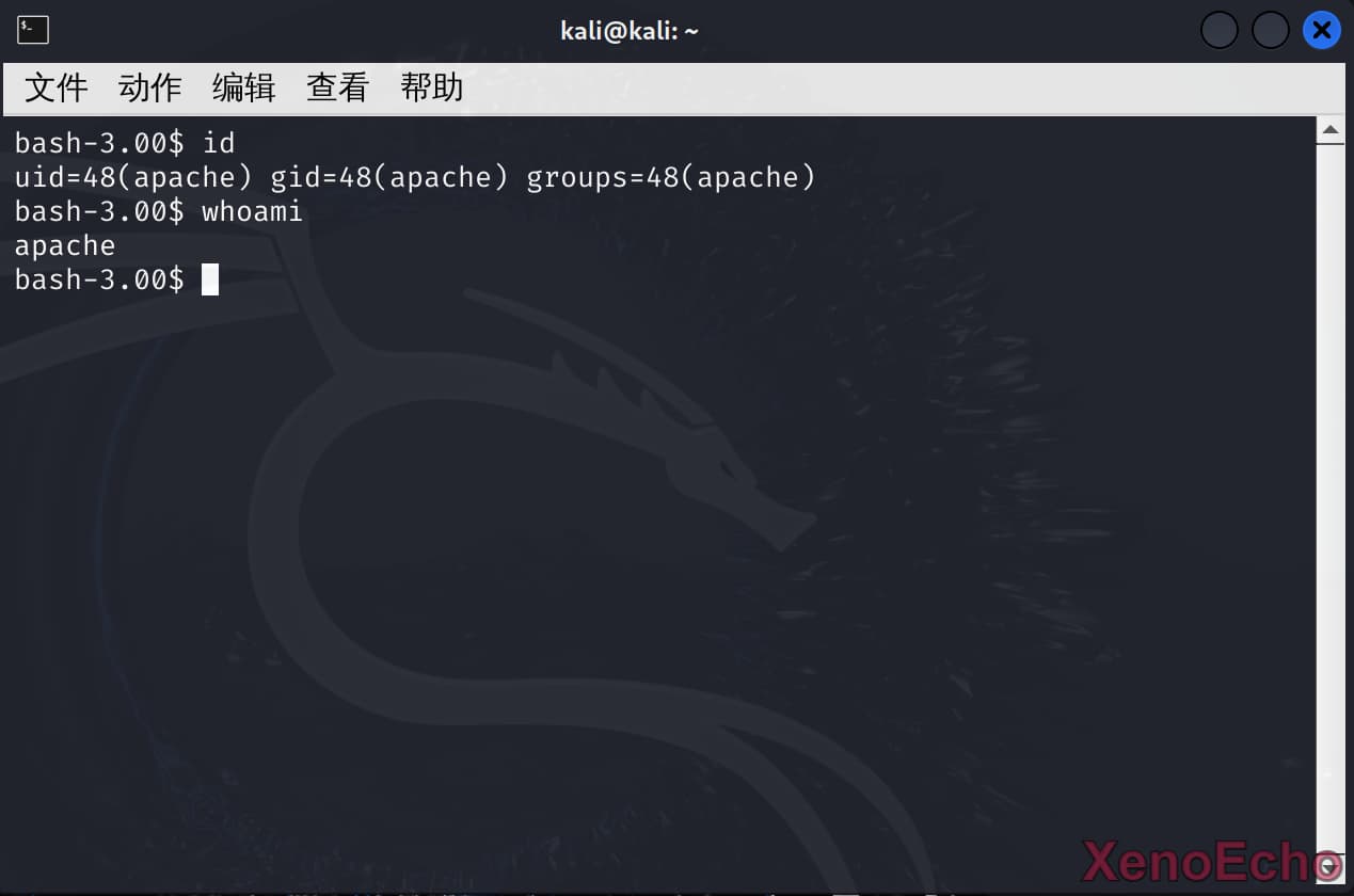 Pasted-image-20241223191012