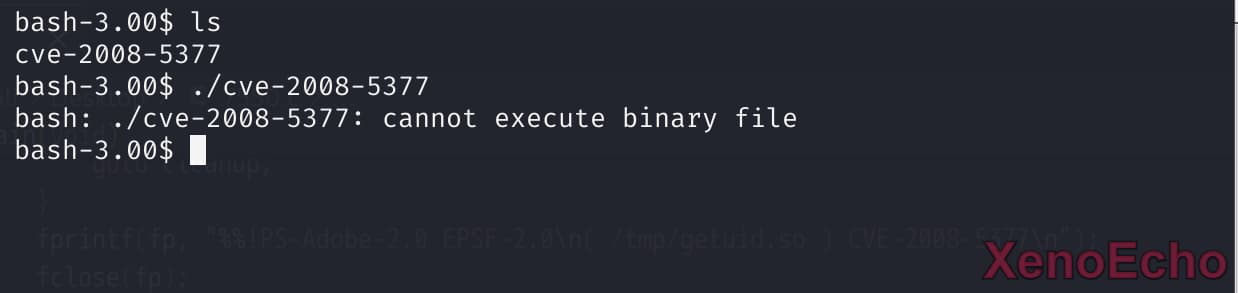 Pasted-image-20241223193344