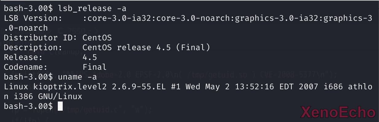 Pasted-image-20241223193756