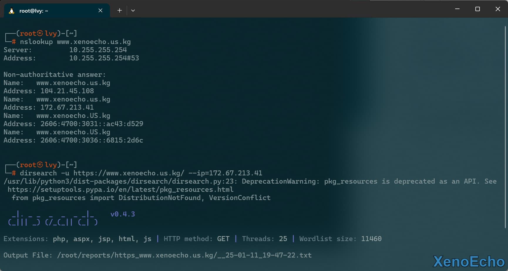 Pasted-image-20250111194743