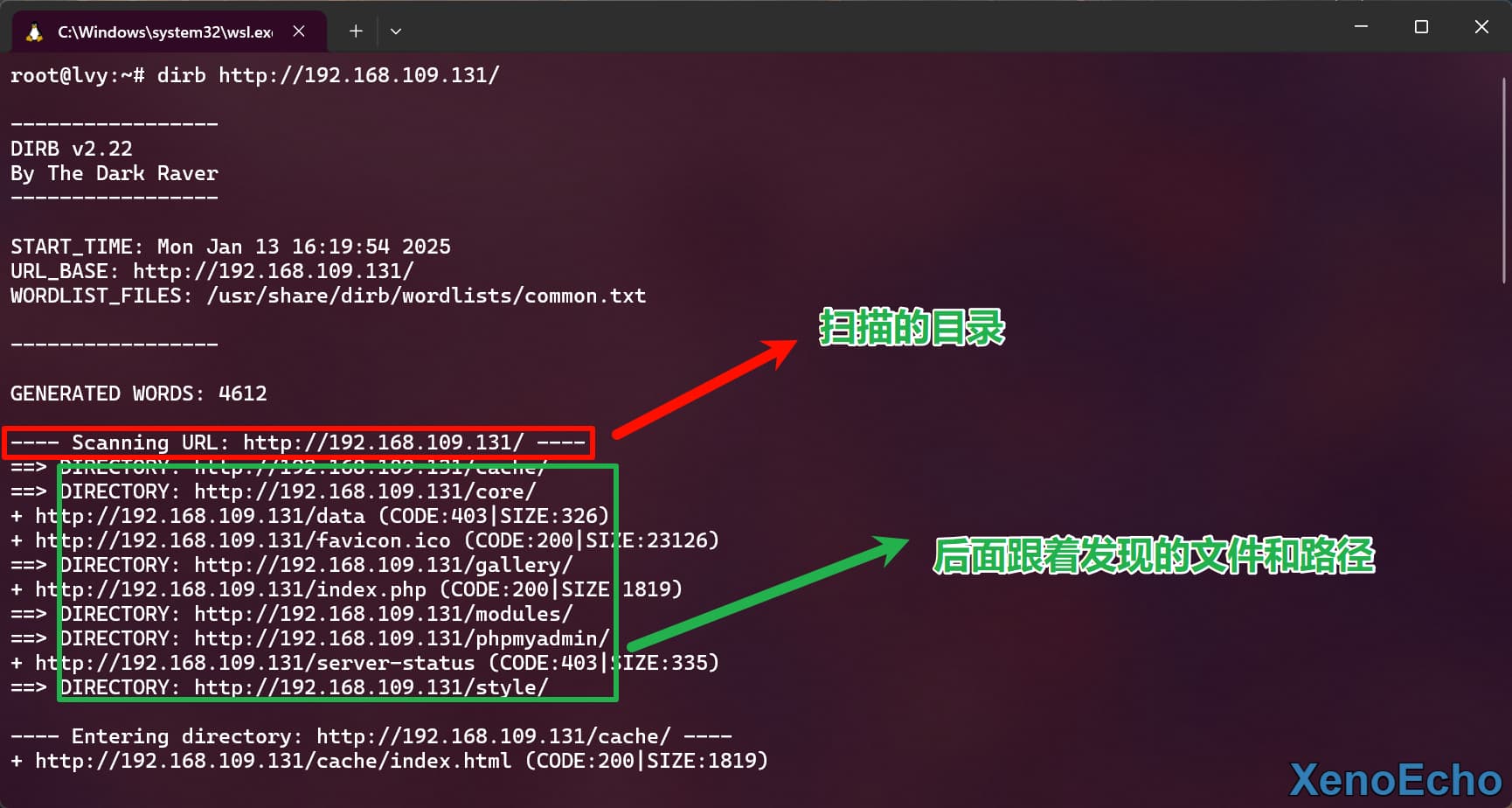 Pasted-image-20250113162138