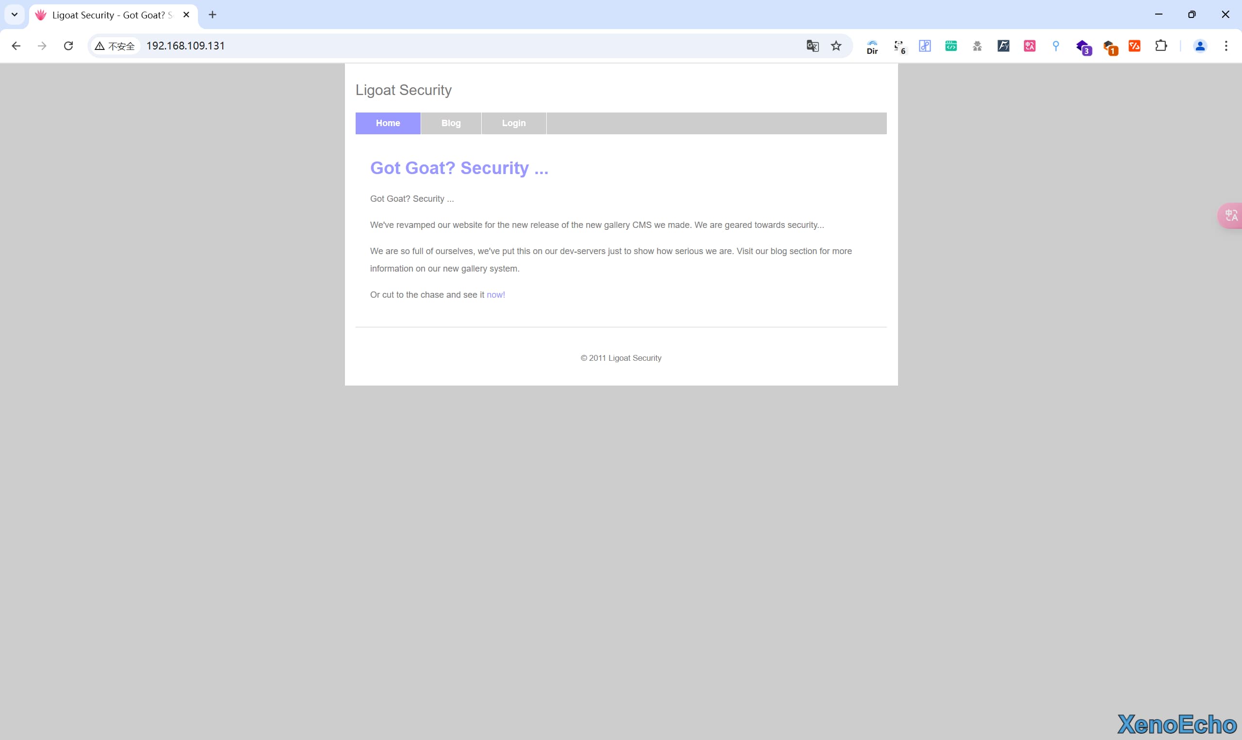 Pasted-image-20250113162249