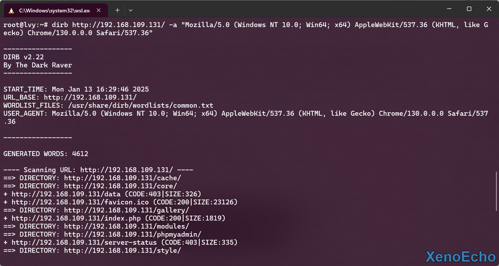 Pasted-image-20250113163010