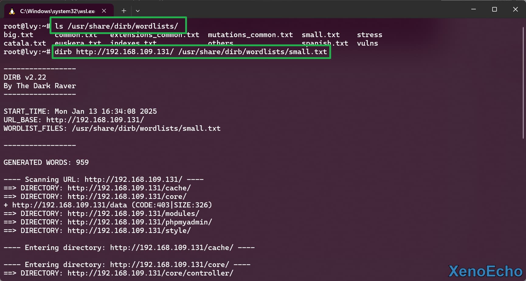 Pasted-image-20250113163438