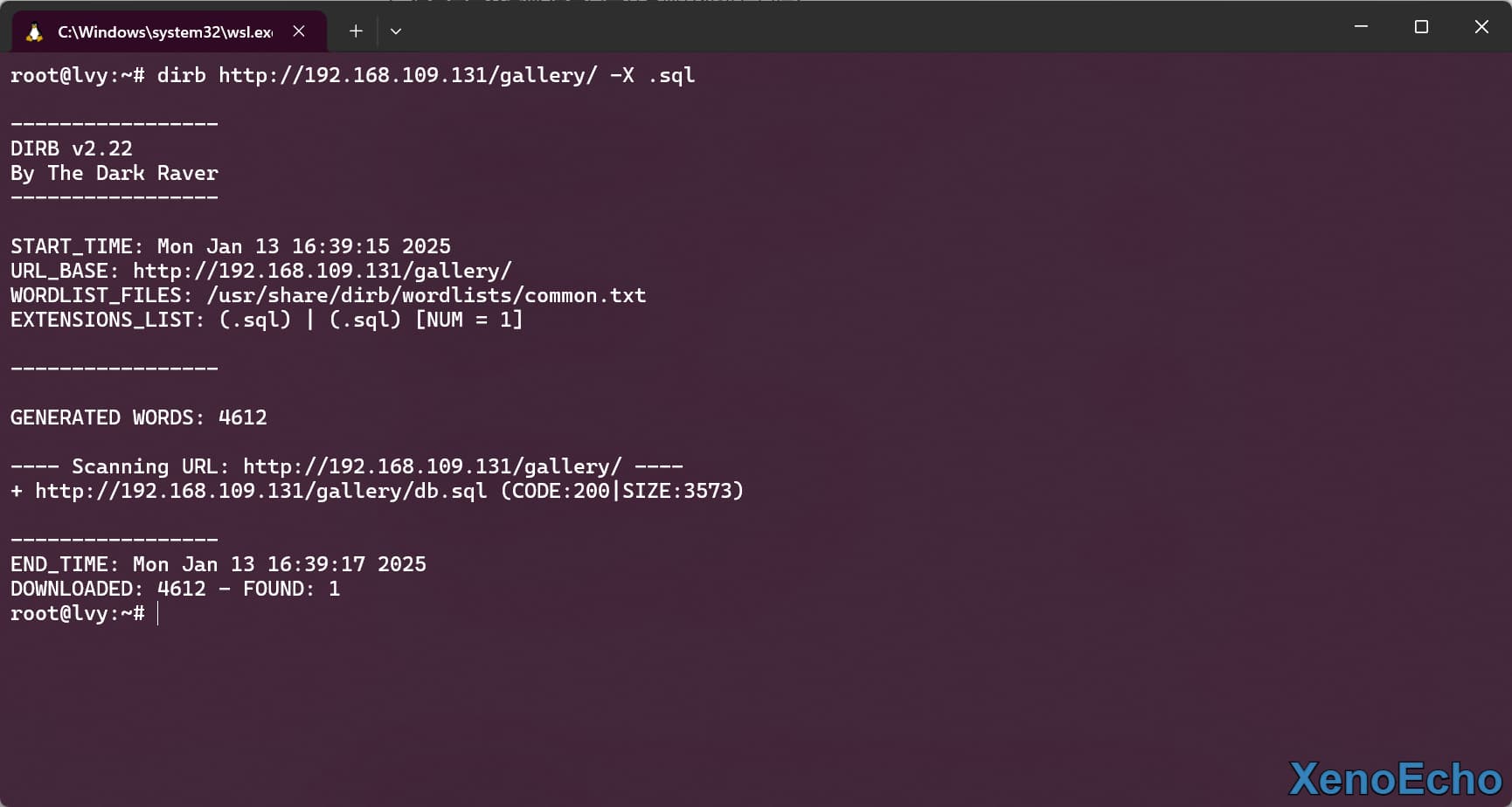 Pasted-image-20250113164116