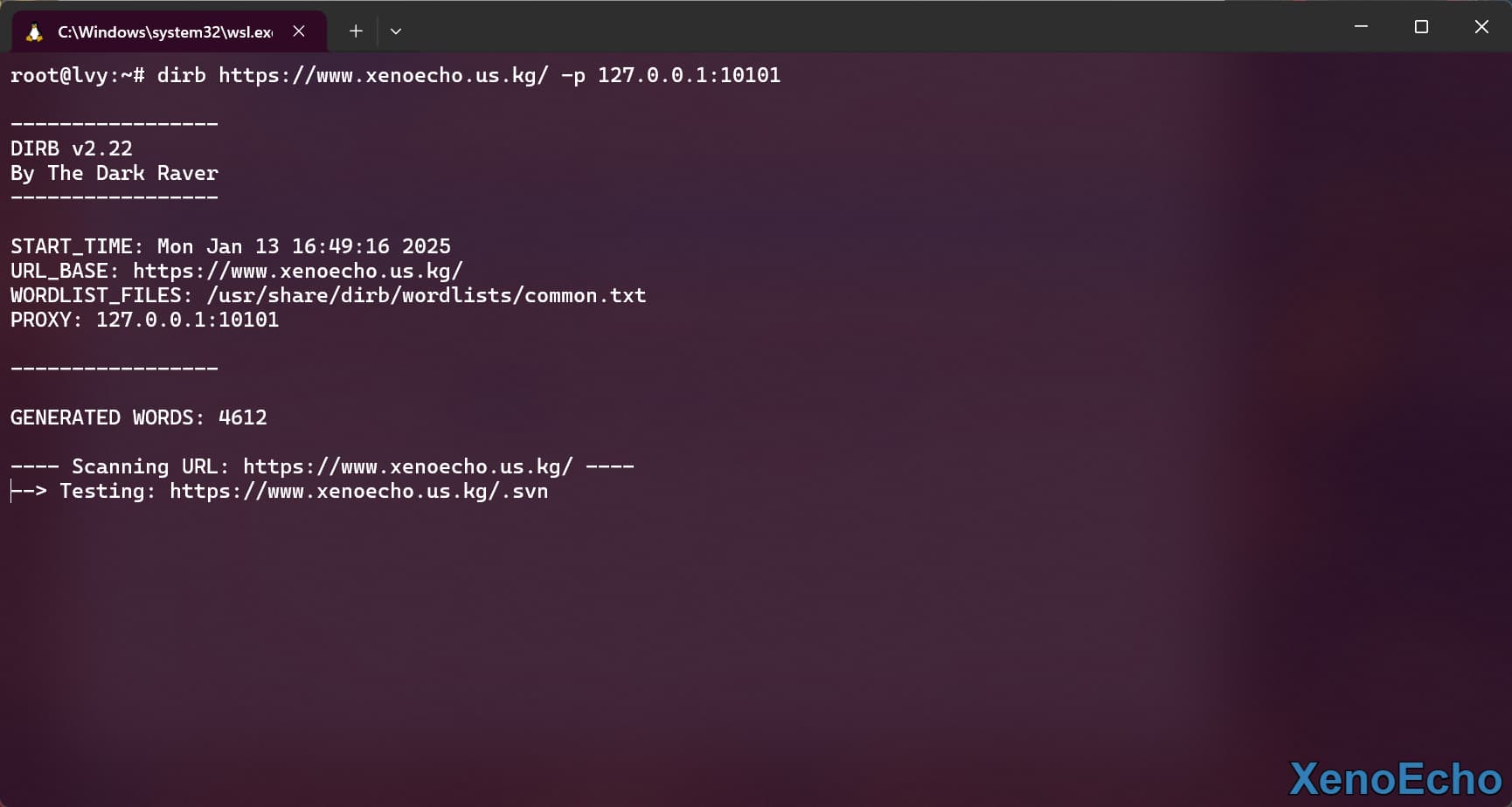 Pasted-image-20250113164931