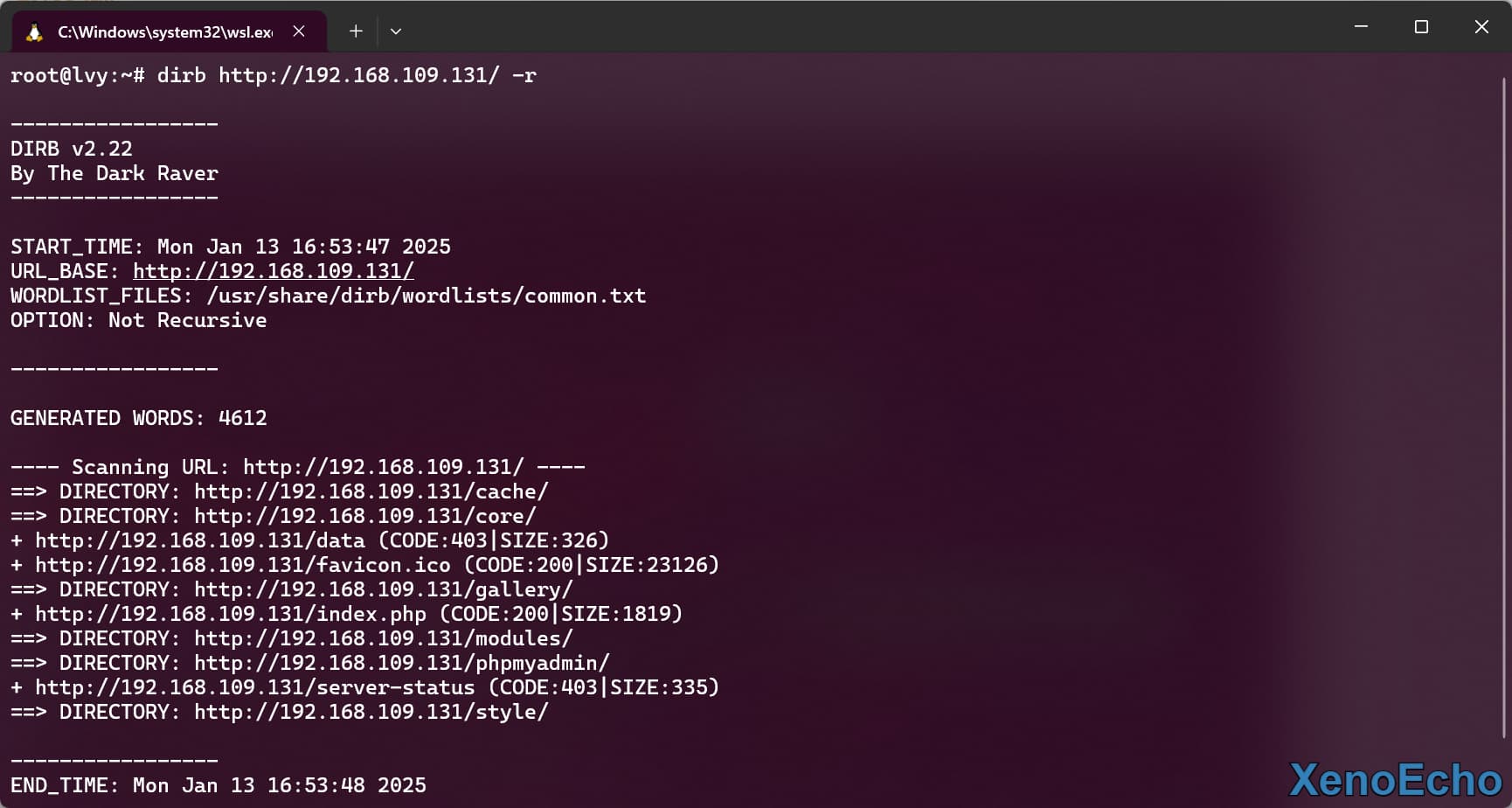 Pasted-image-20250113165439