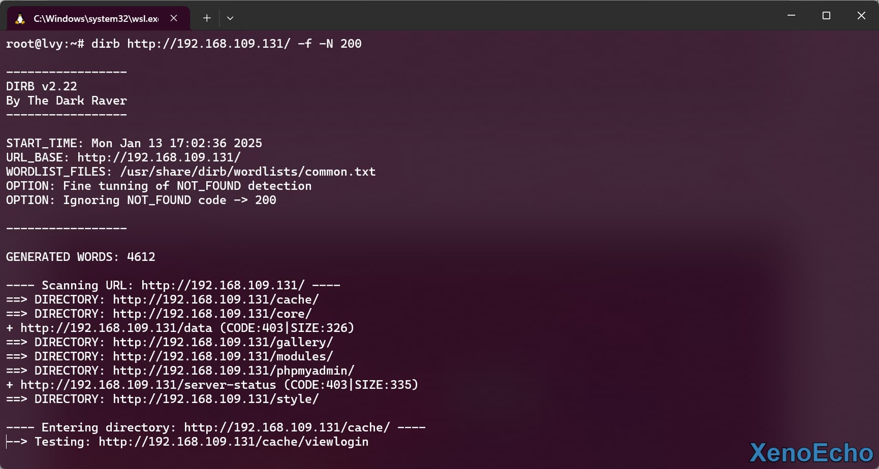 Pasted-image-20250113170252