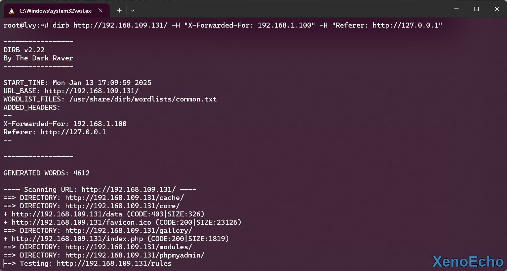 Pasted-image-20250113171005