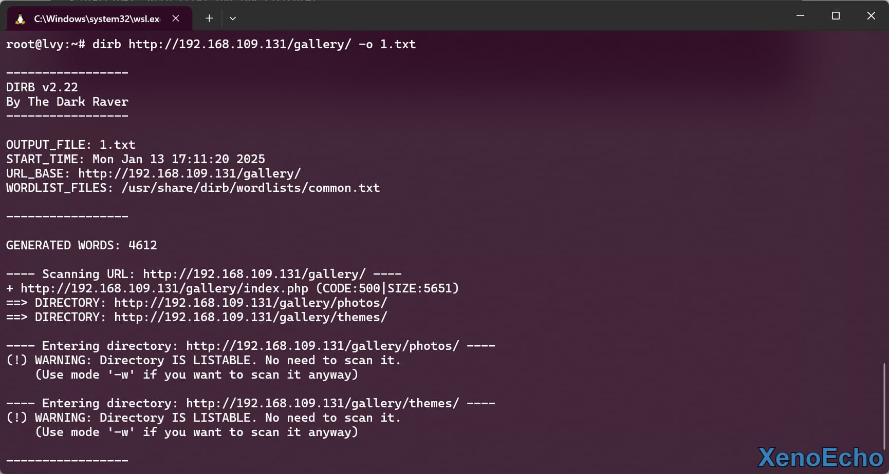 Pasted-image-20250113171156