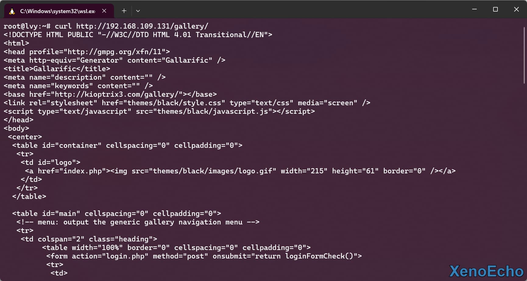 Pasted-image-20250113230431