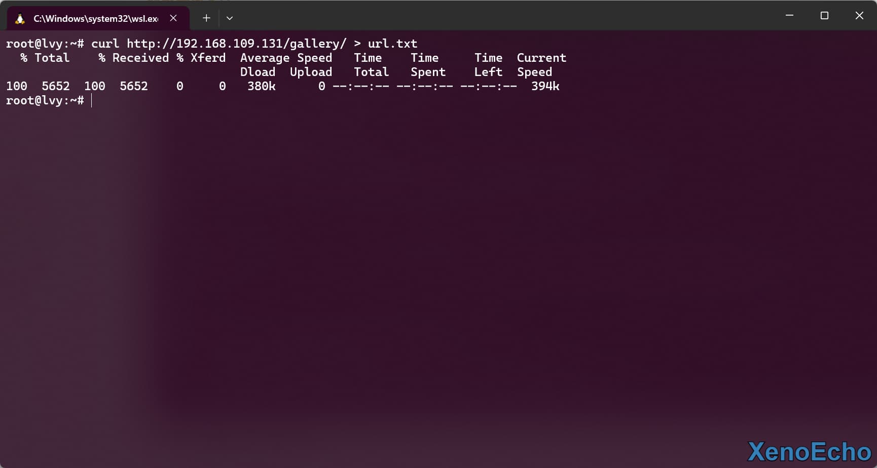 Pasted-image-20250113230637