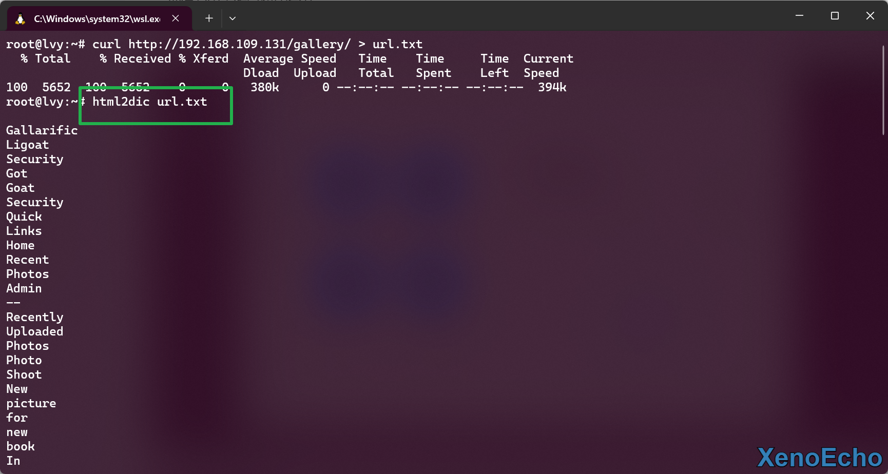 Pasted-image-20250113230953