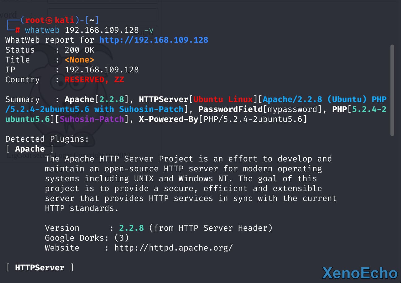 Pasted-image-20250112145630