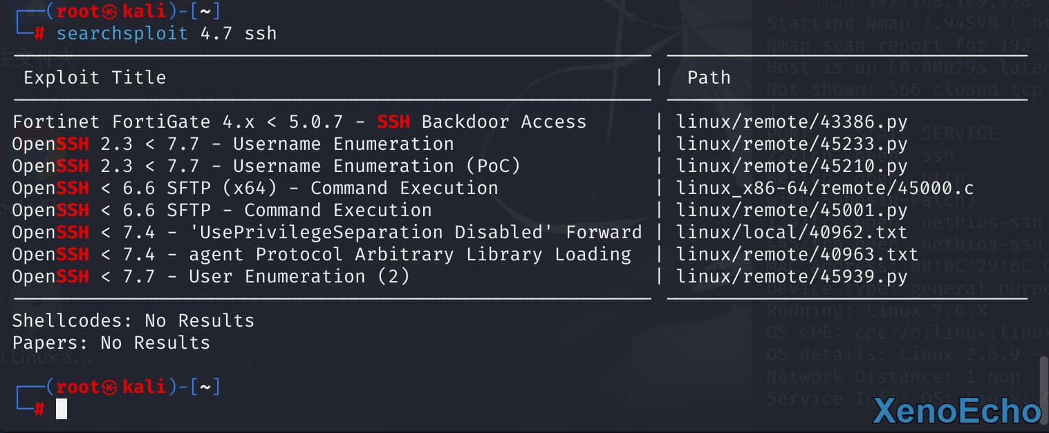 Pasted-image-20250112150854