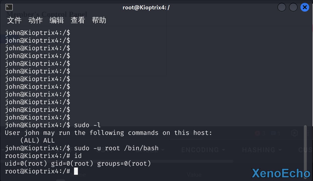 Pasted-image-20250114144327