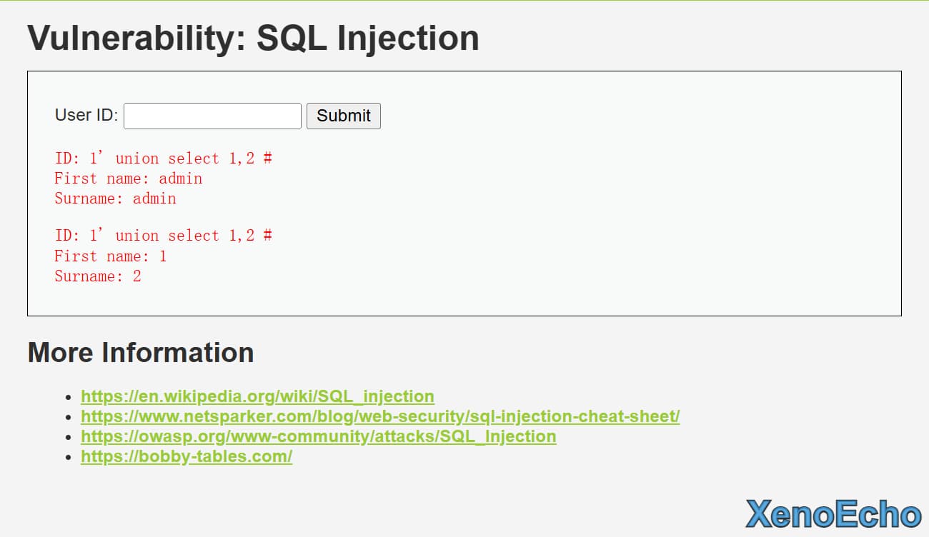 Pasted-image-20250116194605