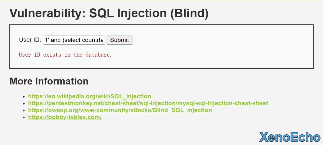 Pasted-image-20250116233245