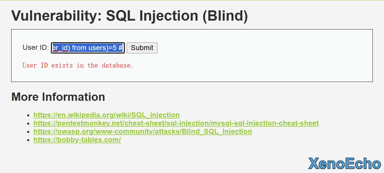 Pasted-image-20250117195104